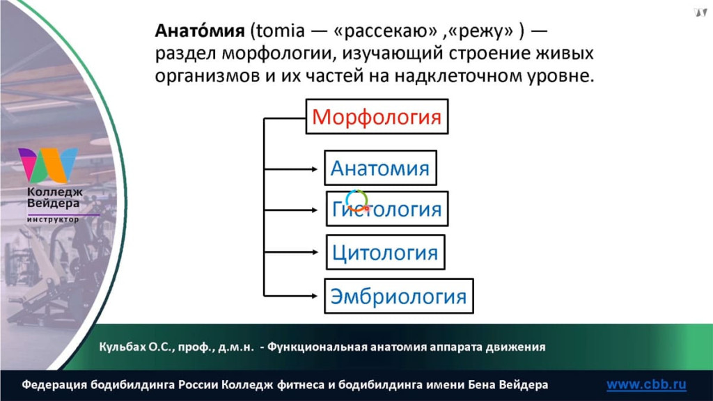 Галерея Персональный тренер по фитнесу 2