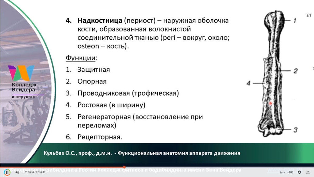 Галерея Персональный тренер по фитнесу 4