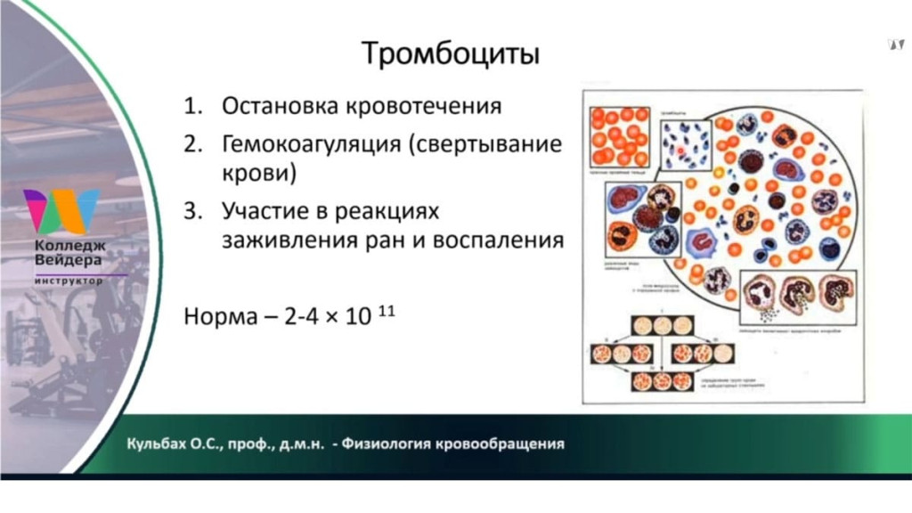 Галерея Персональный тренер по фитнесу 8
