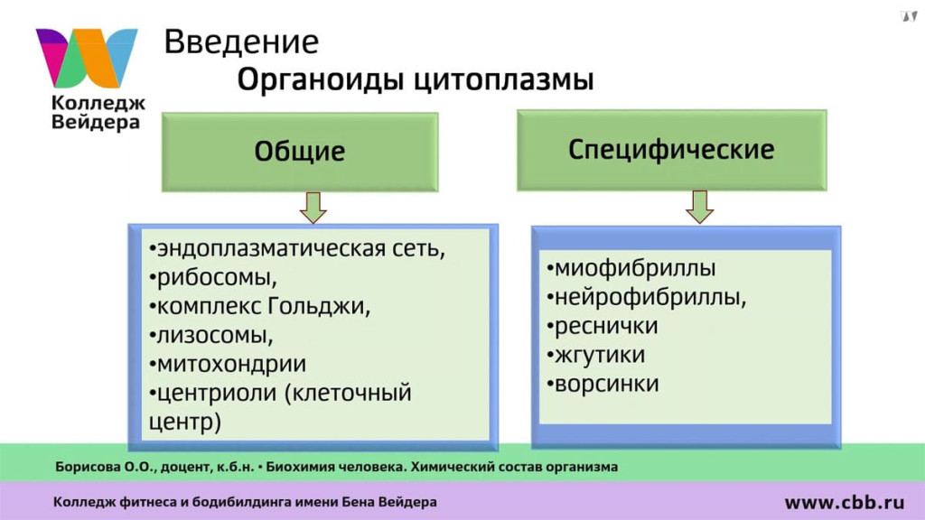 Галерея Персональный тренер по фитнесу 9