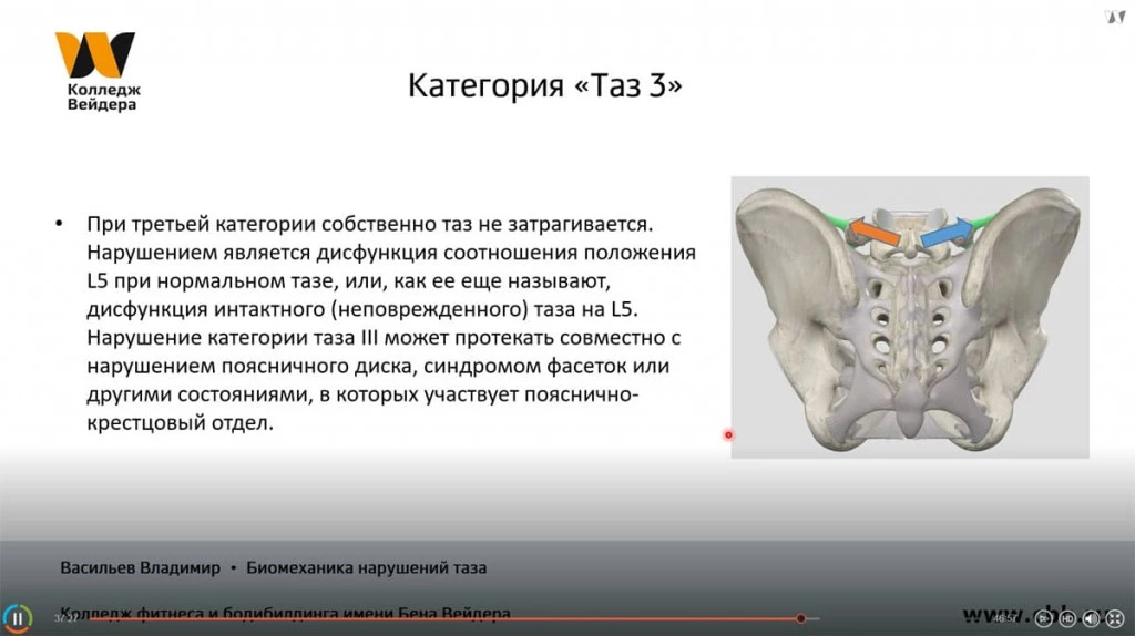 Галерея Биомеханика движений таза. Нарушения и методы коррекции 4