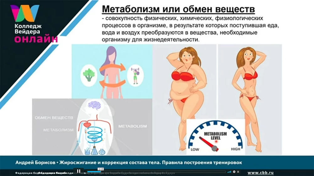 Галерея Тренировки на жиросжигание 2