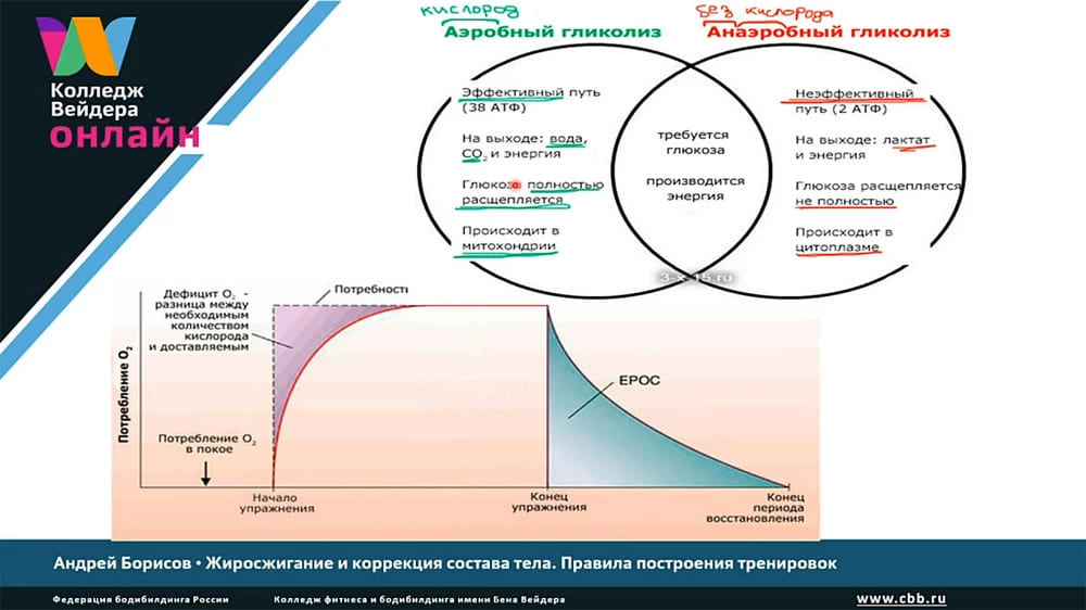 Галерея Тренировки на жиросжигание 3
