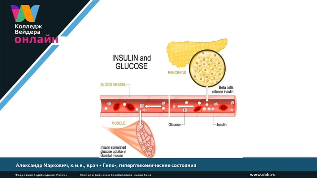 Галерея Гипо- и гипергликемические состояния при занятиях спортом 3