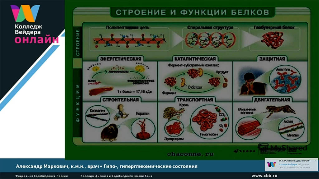 Галерея Гипо- и гипергликемические состояния при занятиях спортом 5