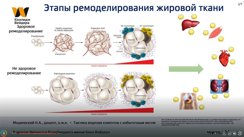 Галерея Тактика ведения клиентов с избыточным весом 3