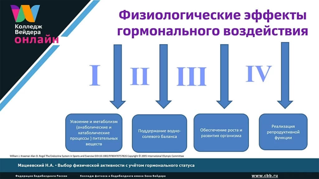 Галерея Выбор физической активности с учётом гормонального статуса 2