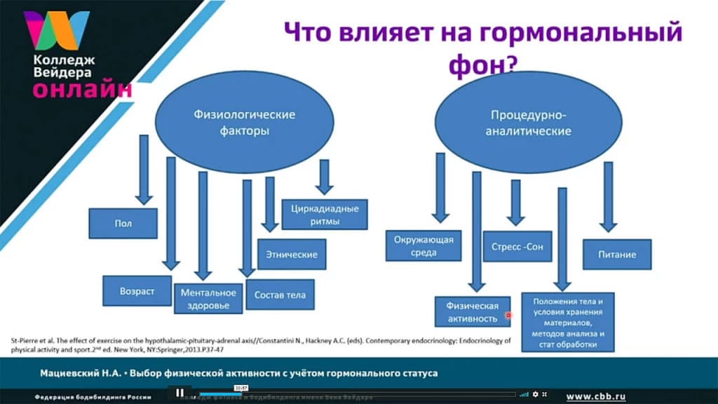 Галерея Выбор физической активности с учётом гормонального статуса 3