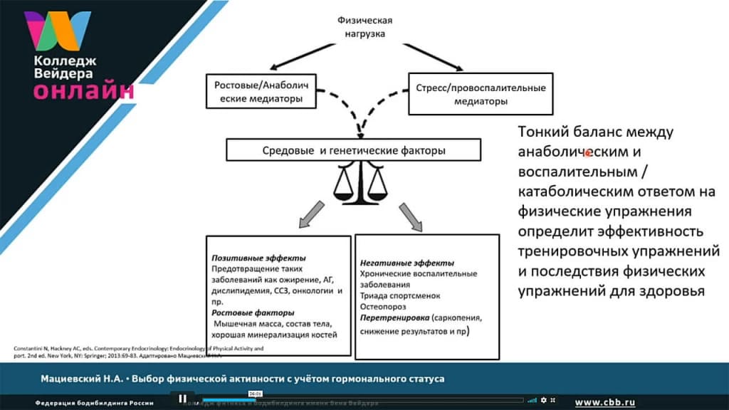 Галерея Выбор физической активности с учётом гормонального статуса 4