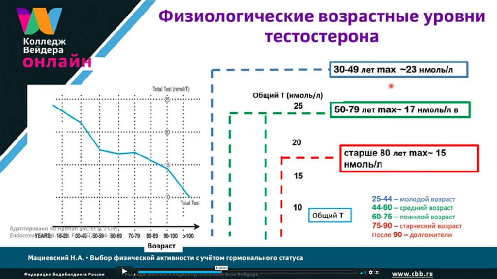 Галерея Выбор физической активности с учётом гормонального статуса 6